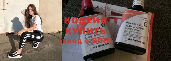 хмурый Нягань
