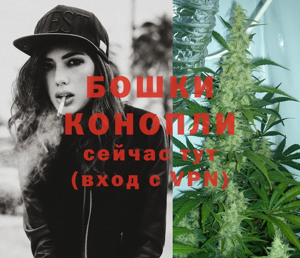 хмурый Нягань