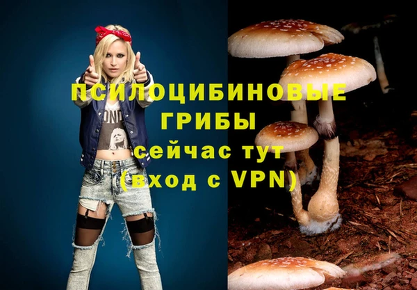 хмурый Нягань